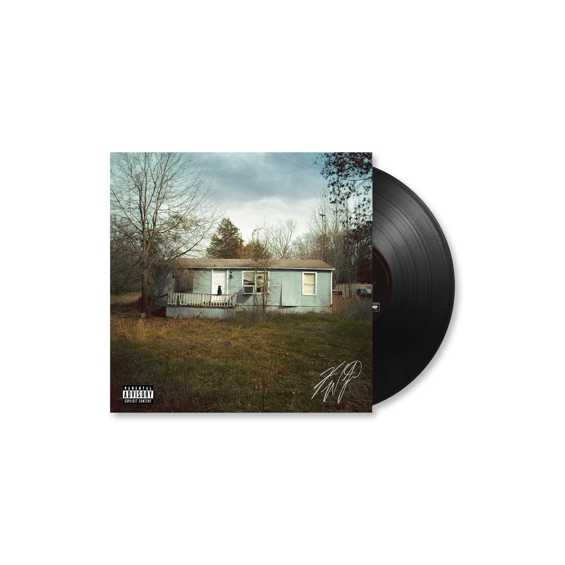 9 Lives - Classic Black Cat Vinyl – Koe Wetzel Store