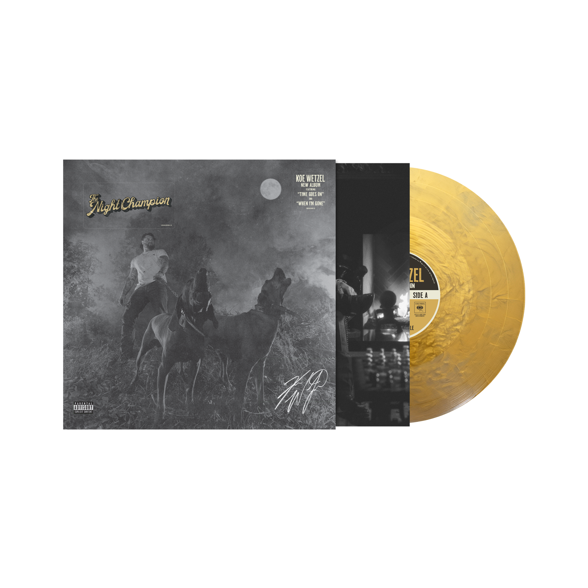Pre-Order The Night Champion - Limited Edition Gold Vinyl – Koe